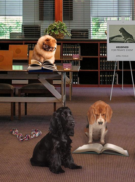 Dog-Eared Delights: A Library Open House for Our Canine Friends ...