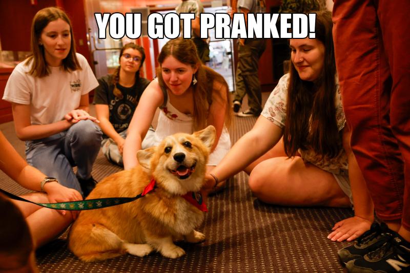 Four students seated around a smiling blonde corgi with the words "You got pranked!"