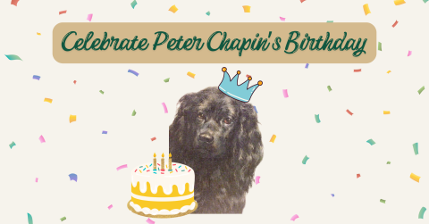 A black cocker spaniel with the words Celebrate Peter Chapin's Birthday