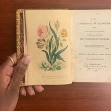 Language of flowers, Greenaway, Kate, 1846-1901, artist. NC1115 .G7 [1884]