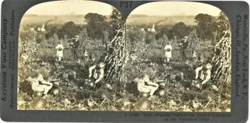 Keystone View Company P-11428 Fall-Making Hallowe’en Jack-o’-Lanterns in the Pumpkin Field (circa 1920).