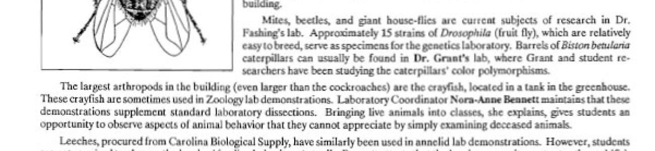 Examples of bugs in the collection