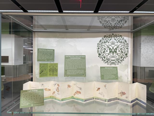 Top shelf of exhibit case with an accordian folding zine of butterfly images and small green zine with line drawings