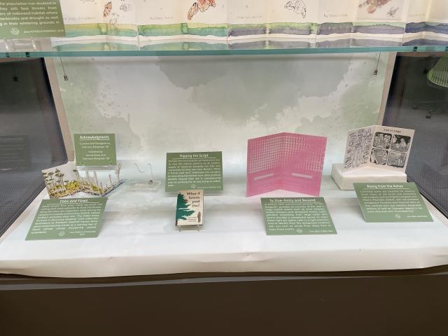 Four environmental-related zines in exhibit case
