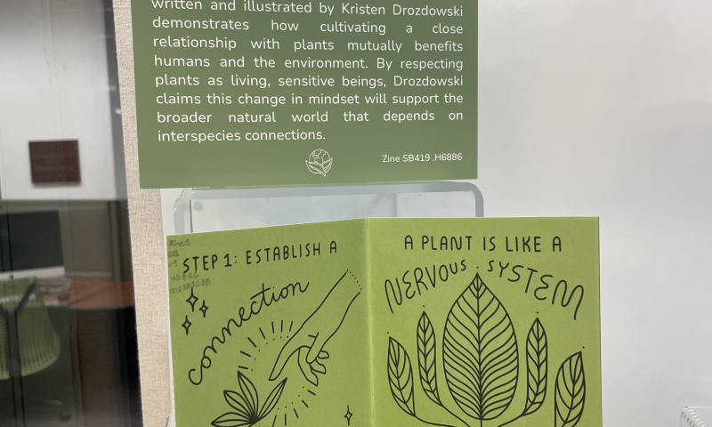Interior pages of a zine with line art of a person touching a plant and a plant rooting in a vase of water on green paper