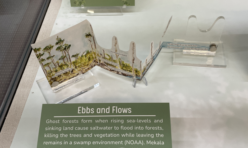 Cutout, accordian folded zine with a watercolor illustration of a ghost forest