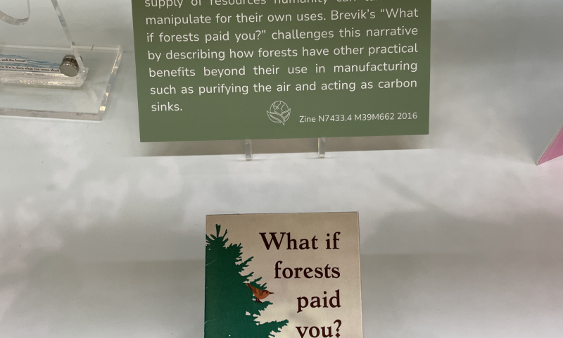 "What if Forests Paid You?" zine and label