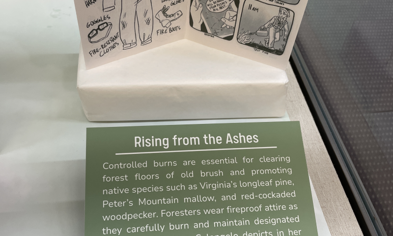Zine about controlled burns showing the equipment used by foresters and their daily activities during a burn
