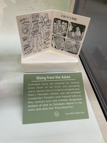 Zine about controlled burns showing the equipment used by foresters and their daily activities during a burn