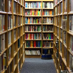 Shelves of books