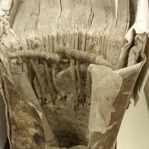 The decayed spine of a book reveals the headbands used in its binding