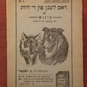 Cover page of Yiddish children's book with two dogs