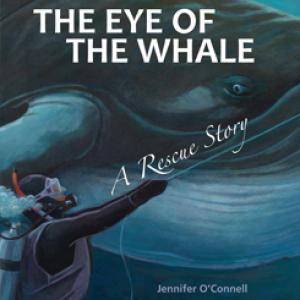 The Eye of the Whale book cover