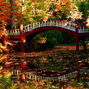 Crim Dell bridge in fall
