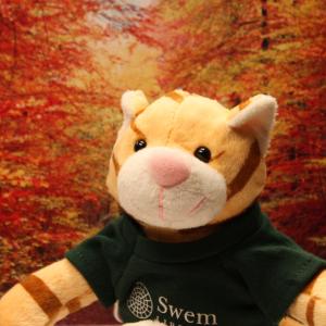 Stuffed orange tabby toy in front of red fall leaves