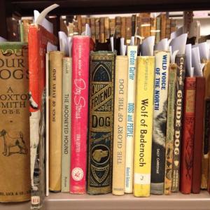 Shelf filled with books about dogs