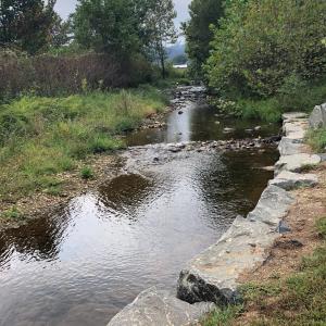 Scenic image of a narrow river