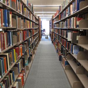 Two parallel rows of book shelves