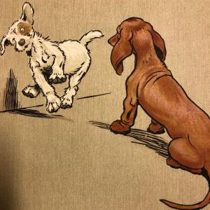 Illustration of a white dog and brown dog playing together