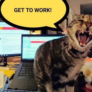 Cat with open mouth and a speech bubble saying Get to Work!
