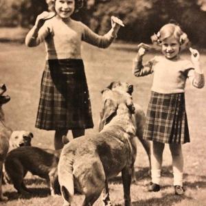 Royal princesses playing with corgis