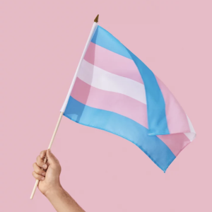 Hand holding a raised flag with blue, pink and white stripes