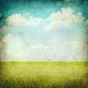 A spring day with a blue sky and green grass