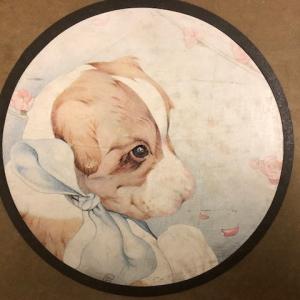 The book of baby dogs book cover