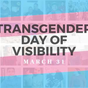 Blue, pink and white stripes with the words Transgender Day of Visibility, March 31