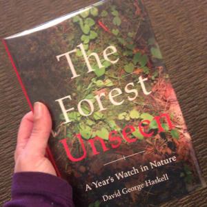 The Forest Unseen book cover