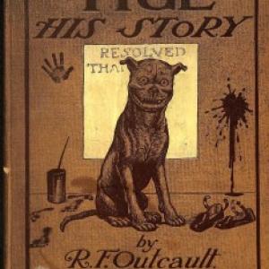 Book cover for "Tige: Hist Story"