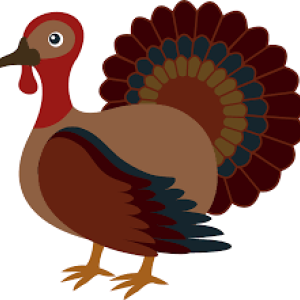 Cartoon turkey