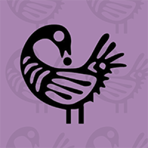 a bird with its head turned backward, looking at its tail